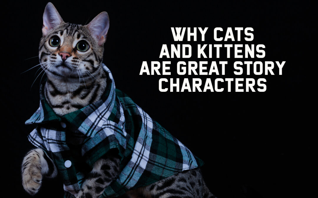 Why Cats and Kittens are Great Story Characters