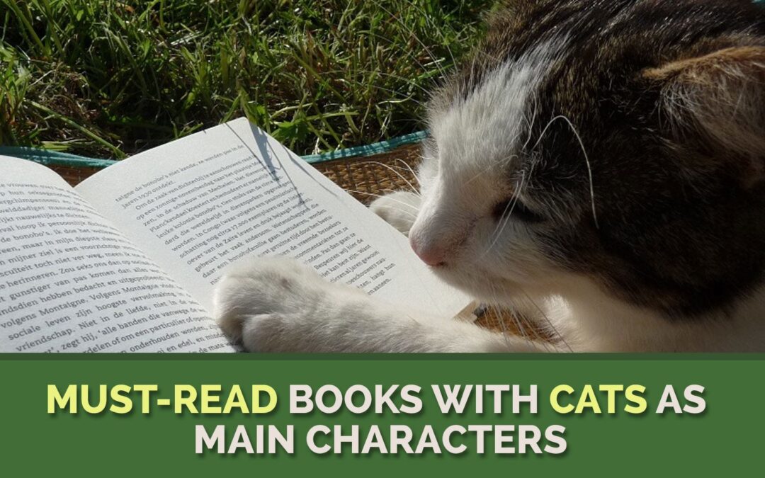 Must-Read Books with Cats as Main Characters