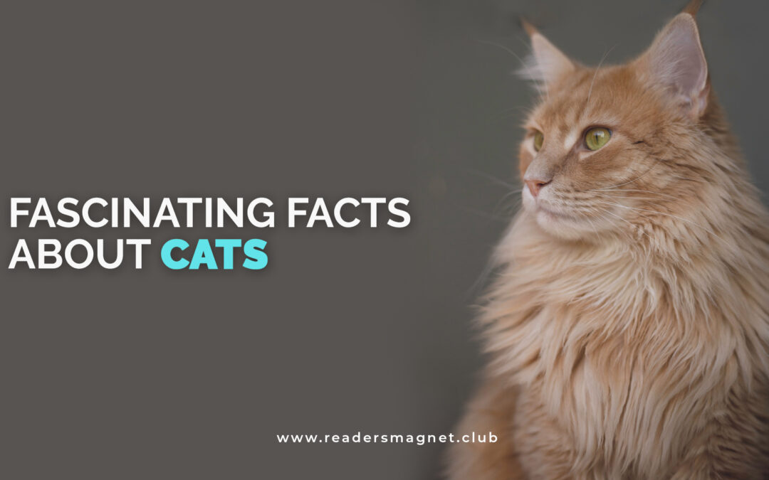Fascinating Facts About Cats