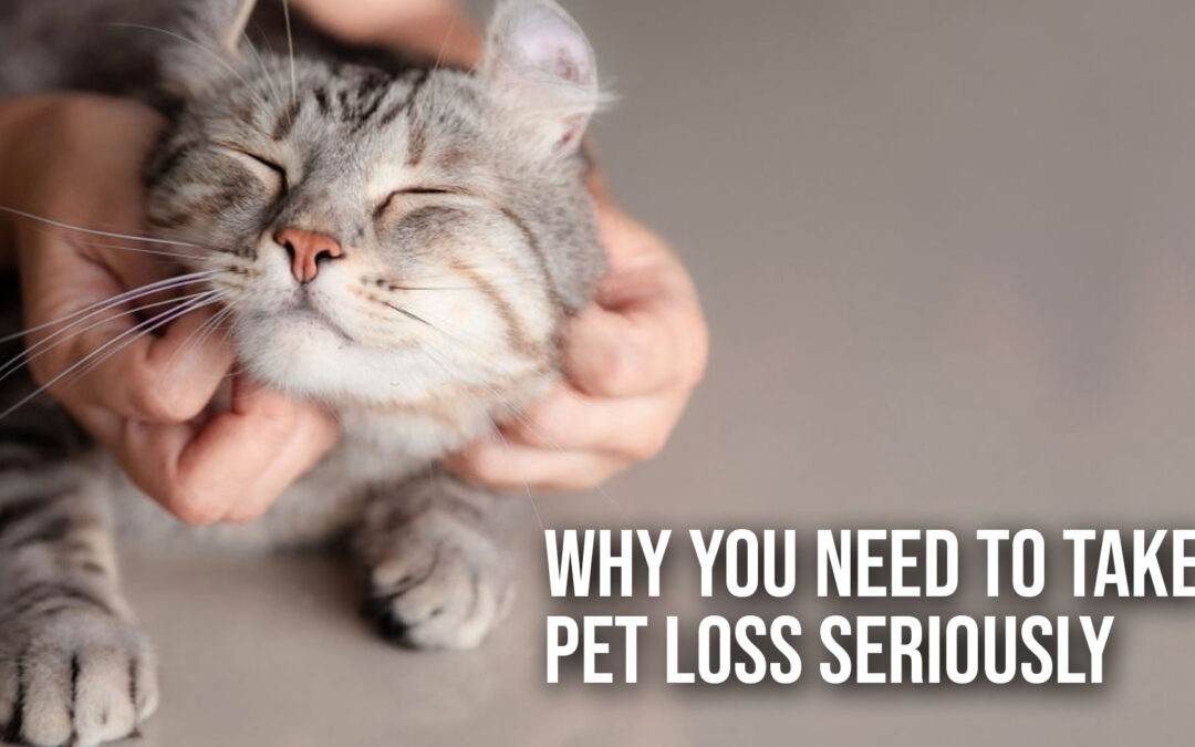 Why You Need to Take Pet Loss Seriously
