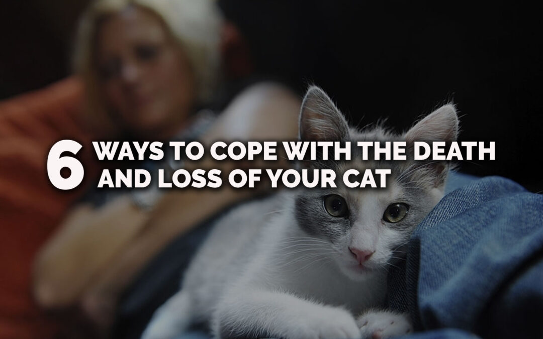 Six Ways to Cope With the Death and Loss of Your Cat